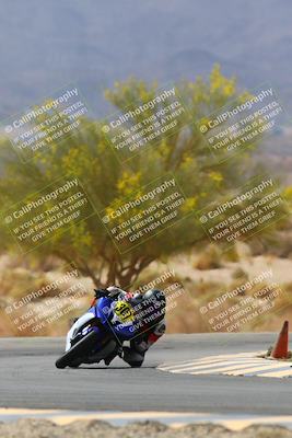 media/Apr-10-2022-SoCal Trackdays (Sun) [[f104b12566]]/Turn 5 Tree of Life (1040am)/